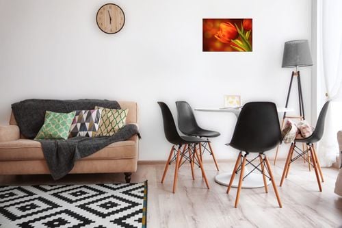 Fotoobraz 30X20 Czerwone Tulipany na Arena.pl