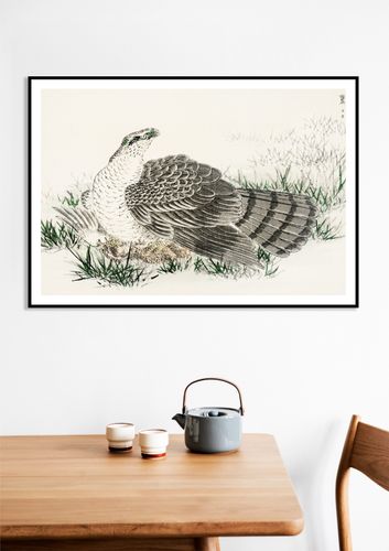 Plakat 35x25cm  Hawk-Eagle, Kashu Japoński Vintage do Salonu na Arena.pl