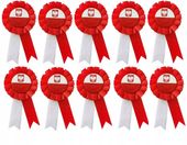 10x Kotylion Przypinka Odznaka POLSKA 11 Listopada biało-czerwony 10