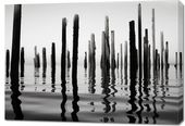 Obraz 100x70cm Refleksje Nad Wodą