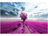 product-compare-58693331