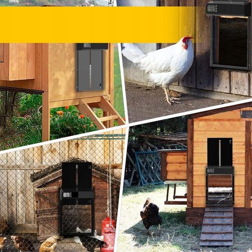 AUTOMATYCZNE DRZWI DO KURNIKA OTWIERANIE DRZWI Z TIMEREM METALOWE CZUJNIK na Arena.pl