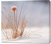 Obraz 100x90cm Zima w Detalach