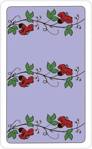 Wonderland Tarot in Tin WTT78 na Arena.pl