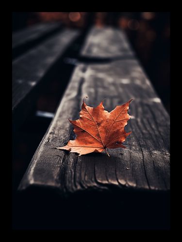 Plakat 13x18cm Pojedynczy Liść na Arena.pl