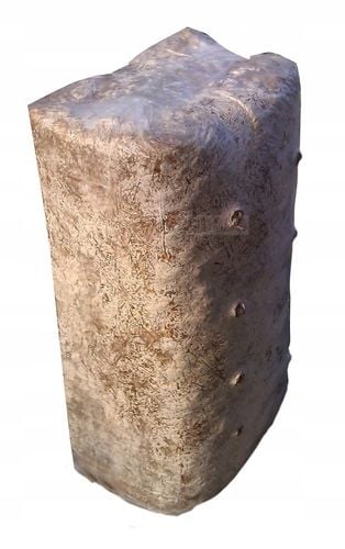 GRZYBNIA BOCZNIAKA DUŻY BALOT kostka około 15kg na Arena.pl