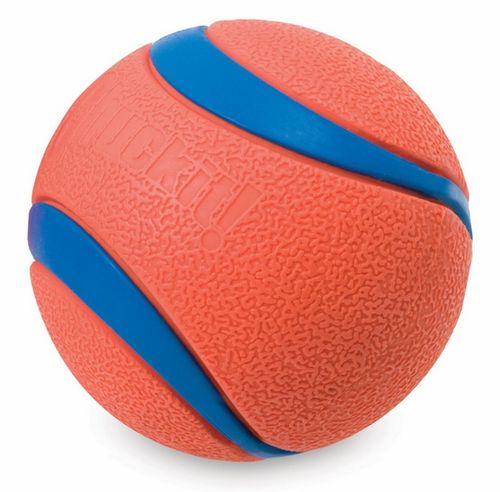 Chuckit! Ultra Ball Medium [170015] na Arena.pl
