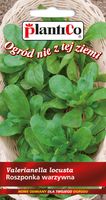 NASIONA Roszponka Warzywna 1g PLANTICO Całoroczna 404816