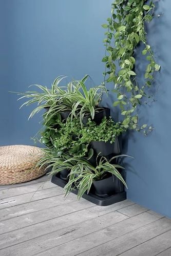 ogród wertykularny stojący - cascade garden- antracyt - pp-io2w600s na Arena.pl