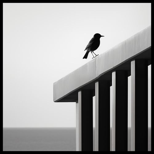 Plakat 50x50cm Samotna Odchłań na Arena.pl