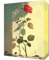 product-compare-59506163