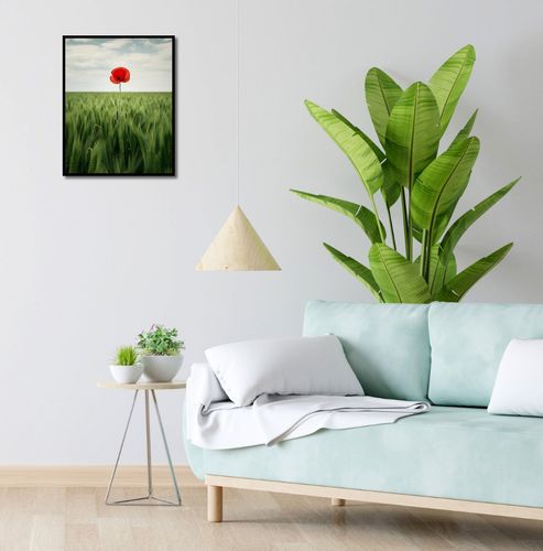 Plakat 40x50cm Samotny Mak na Polu na Arena.pl