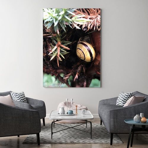 Obraz na płótnie – Canvas, kryjówka ślimaka 60x90 na Arena.pl