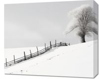 Obraz 60x50cm Samotność Zimy przy Płocie