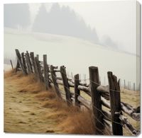 Obraz 100x100cm Spowity Mgłą