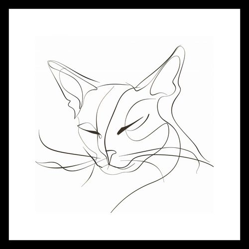 Plakat 30x30cm Linijny Kot na Arena.pl