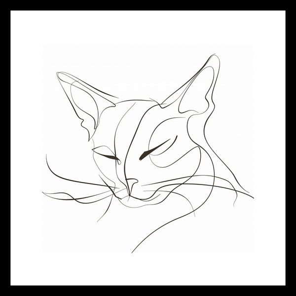 Plakat 30x30cm Linijny Kot zdjęcie 3