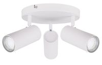 Colly lampa sufitowa plafon biały 3x15W GU10 klosz biały