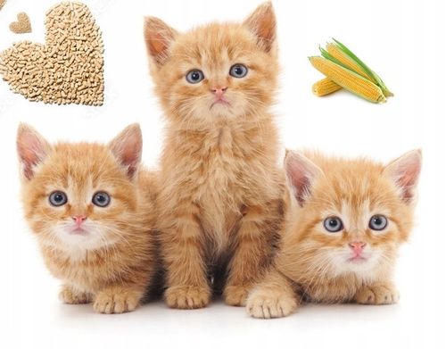 Żwirek kukurydziany GRUBOZIARNISTY EKOTEK 33L dla kotów, królików, 20KG na Arena.pl