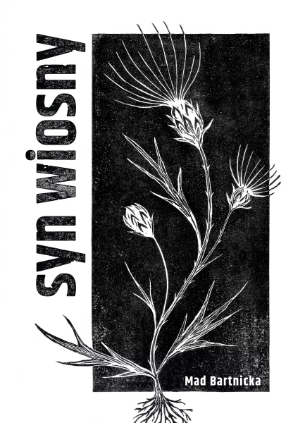 Syn wiosny zdjęcie 1