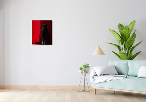 Obraz 40x50cm Elegancja w Cieniu na Arena.pl