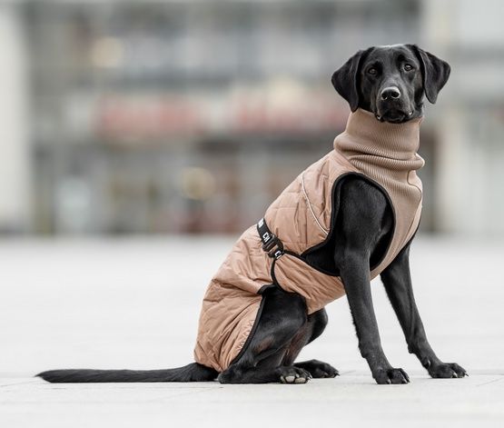 Chaba Kubrak Regulowany Chic S beige zdjęcie 8