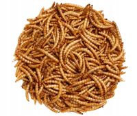 Suszone larwy mącznika młynarka 10kg