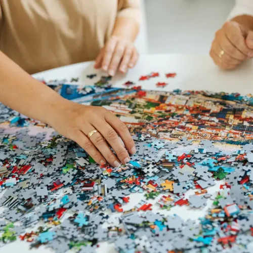 Puzzle 1000 elementów. Premium Plus Quality. Krzyżówki w locie na Arena.pl