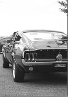 100 70CM OBRAZ PŁÓTNO CLASSIC MUSTANG 55LANEY69 PŁÓTNO RAMA