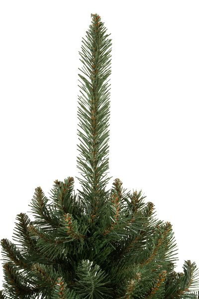 Choinka Świerk Nordycki 220cm zdjęcie 8