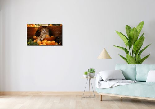 Obraz 70x40cm Letni Odpoczynek na Arena.pl