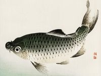 Plakat 20x15cm Carp, Kōno Bairei Japoński Vintage do Salonu
