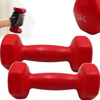 HANTLA DO ĆWICZEŃ HANTLE HANTELKI CIĘŻARKI FITNESS 2x 2kg 2 sztuki