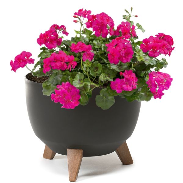 Doniczka misa okrągła nogi 29 cm czarny zdjęcie 1