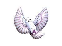 Balon foliowy "Sowa", 24 cale [balon na hel]