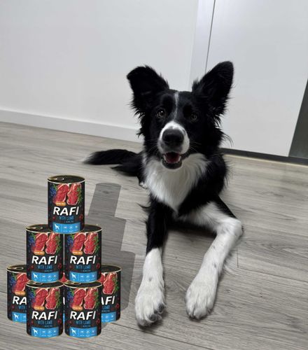 Karma Mokra Dla Psów RAFI z Jagnięciną, Borówką i Żurawiną 400g - 24 szt. na Arena.pl