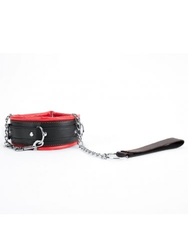 red collar and leash na Arena.pl