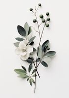 product-compare-59367092