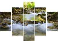 product-compare-58676250