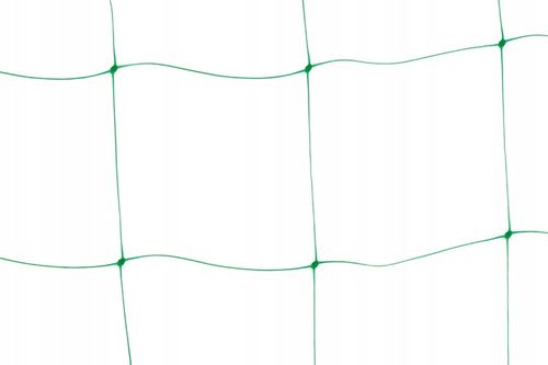 Siatka Podpora warzyw roślin pnących 2x10m 15x17cm AS-CN08151720010 na Arena.pl