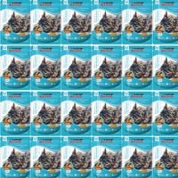 Super Benek Urinary Saszetki 24x100g