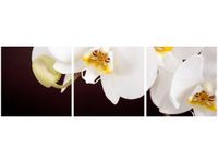 product-compare-58646834