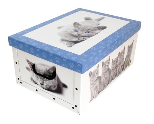 Pudełko kartonowe MINI KOTKI PERS na Arena.pl