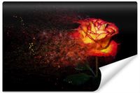 Fototapeta Do Sypialni Abstrakcyjna RÓŻA Efekt 3D 135cm x 90cm