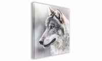 product-compare-61054108
