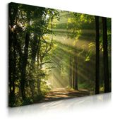 Obraz Canvas Do Salonu Wschód Słońca Las Krajobraz Natura 30cm x 20cm