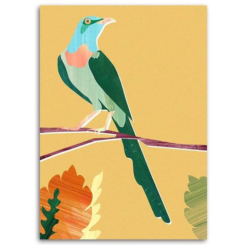 Obraz na płótnie – Canvas, Rajski ptak 70x100 na Arena.pl