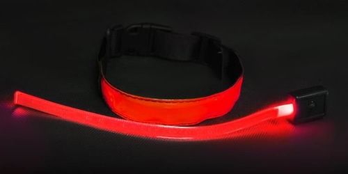 Obroża LED czerwona - S na Arena.pl