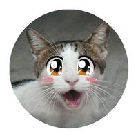 Przypinka Kawaii Neko