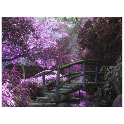 40X30 Obraz *** Na Płótnie *** na Arena.pl